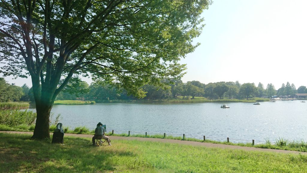 国営昭和記念公園の池のほとり
