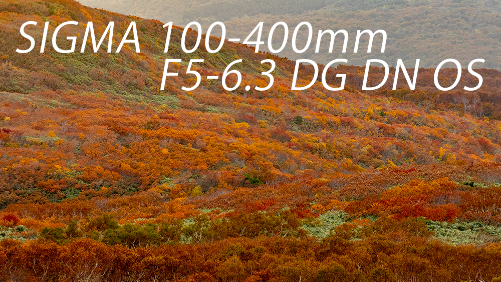 SIGMA100-400mm f5-6.3 dg dn os まとめ