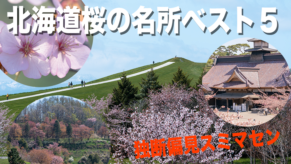 北海道桜の名所ベスト５【写真家が勝手にランキング】