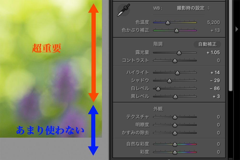 Lightroom 基本補正