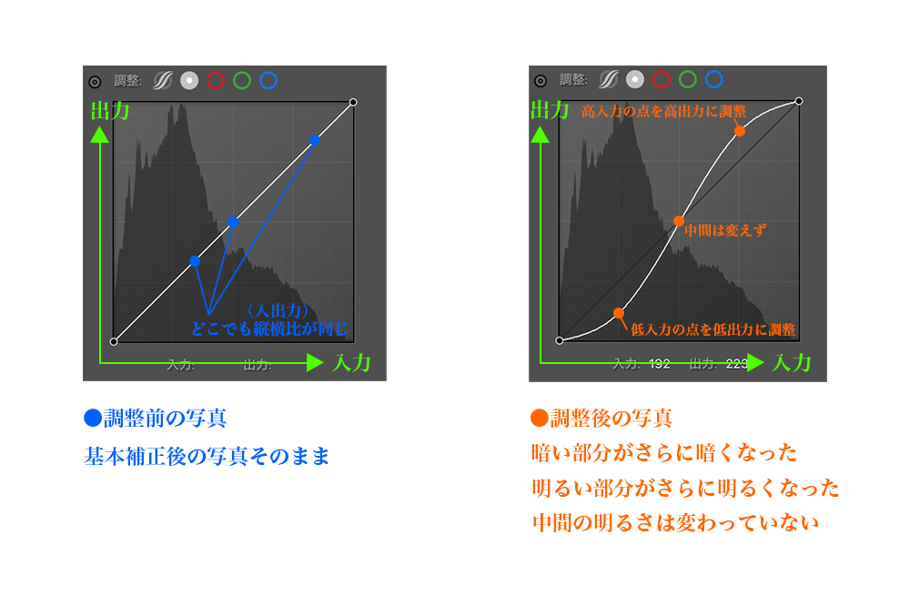 Lightroom RAW現像 トーンカーブ調整例