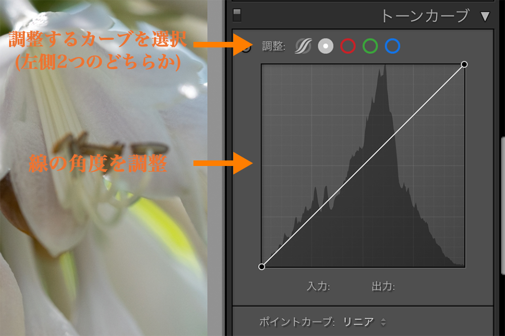 Lightroom RAW現像 トーンカーブ