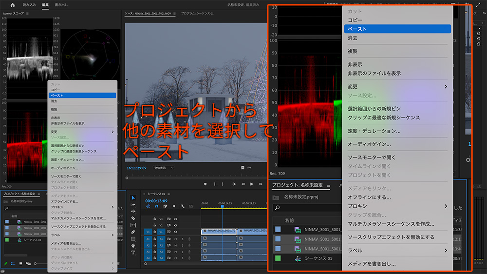 他のProResRAW素材にもペースト