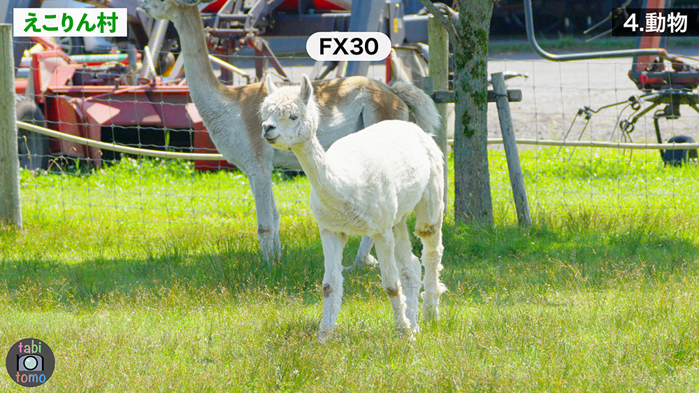 FX30の動物AF
