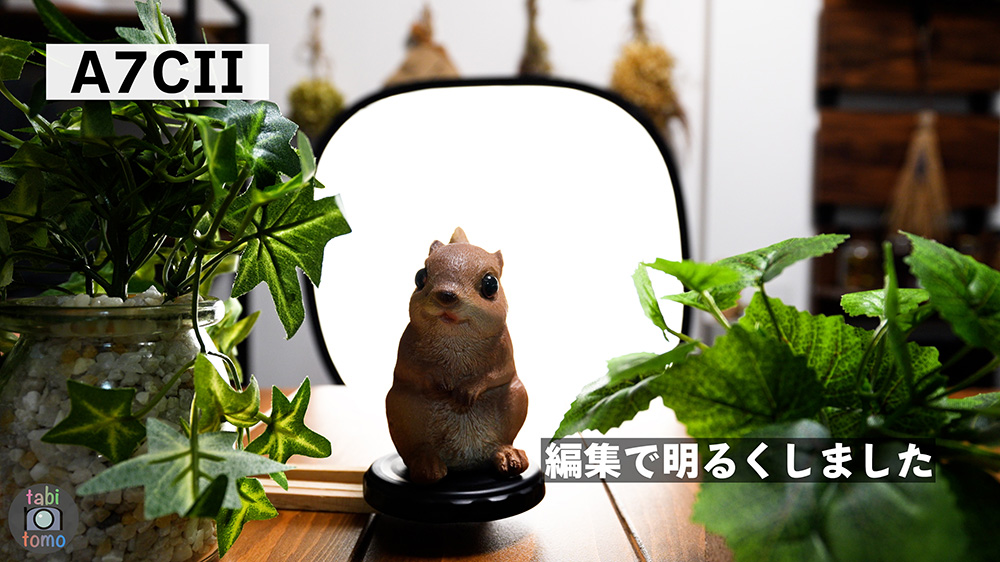 α7CIIの動物AF 逆光