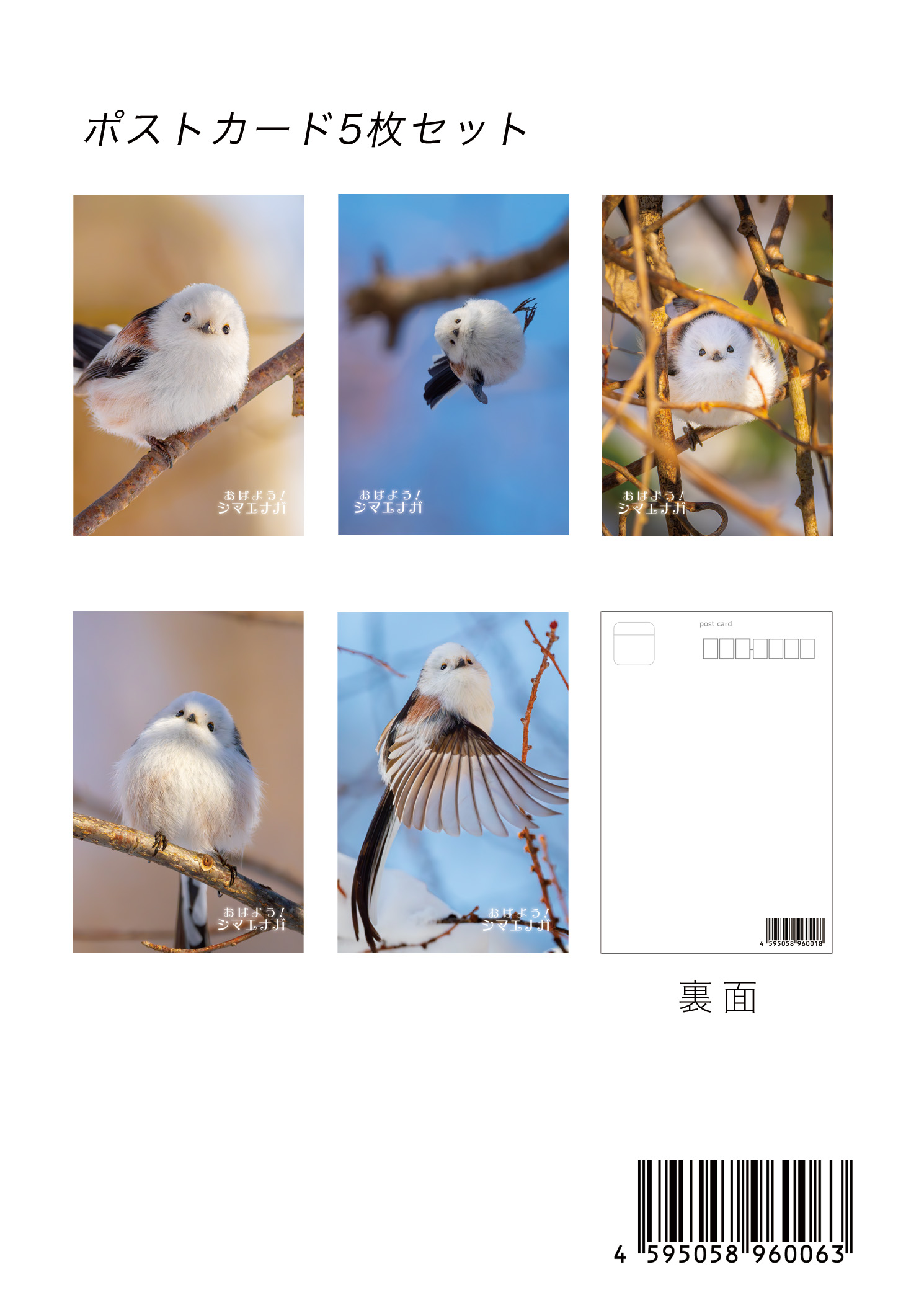 おはよう！シマエナガ ポストカード １から５番セット