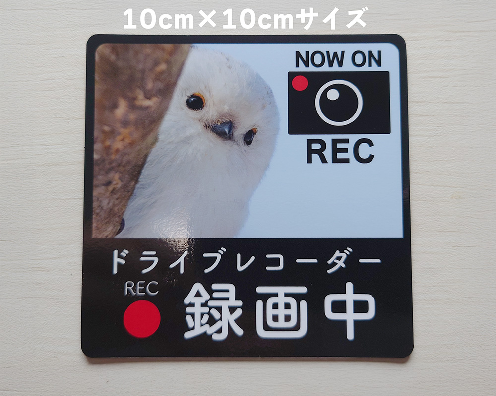 シマエナガのドラレコステッカー マグネットタイプ
