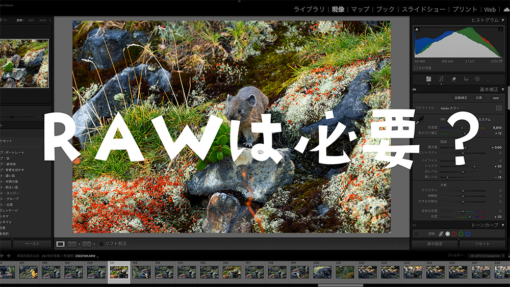 RAW現像は必要?RAW撮影じゃないとダメ?
